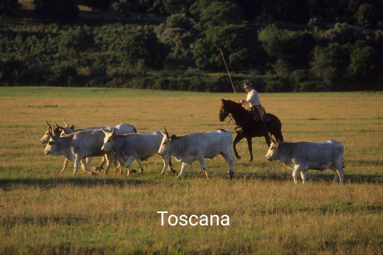 Appartamento La Libellula Grosseto Extérieur photo