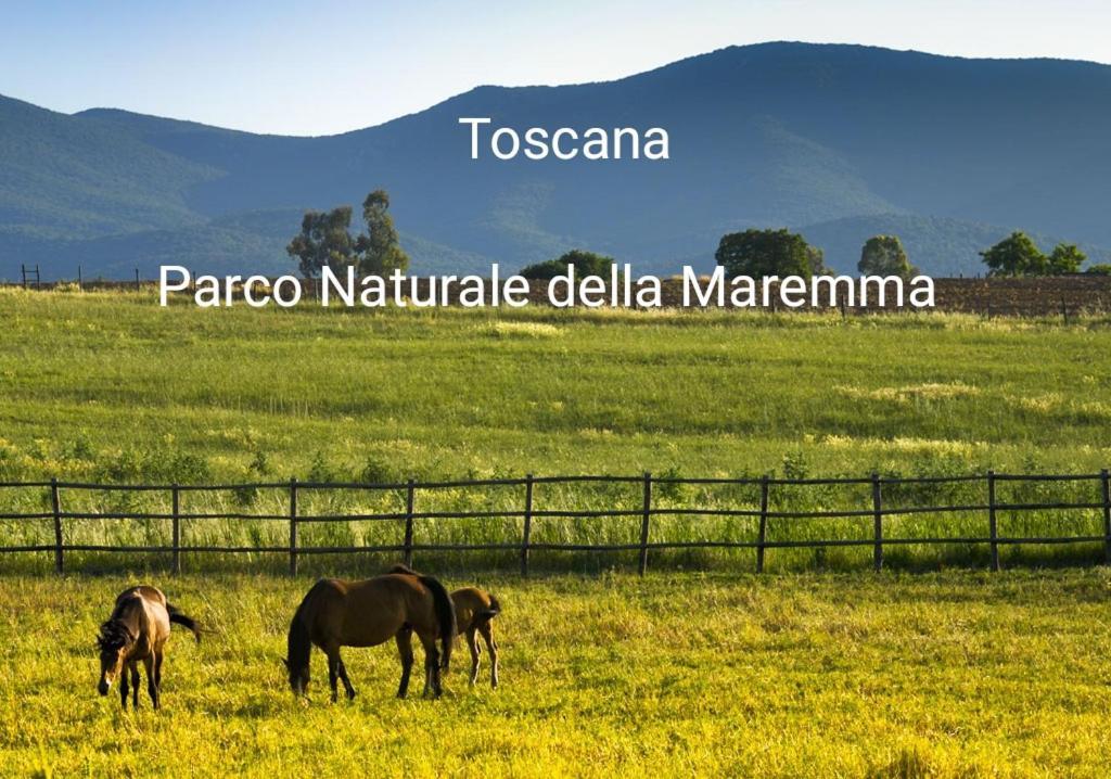 Appartamento La Libellula Grosseto Extérieur photo